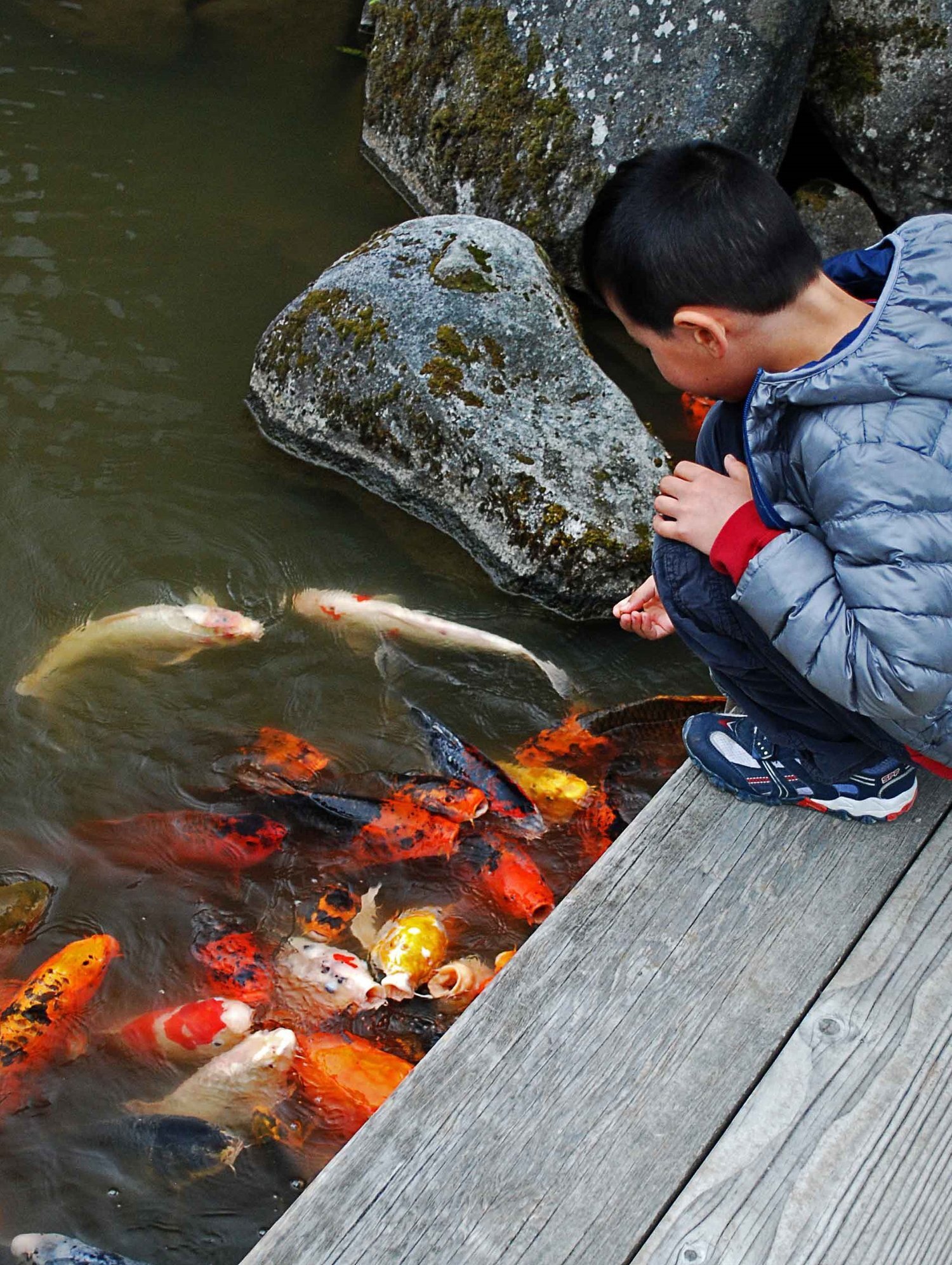 🐟 가스미가우라 시 수족관(카스미가우라시 스이조쿠칸) 이미지 8